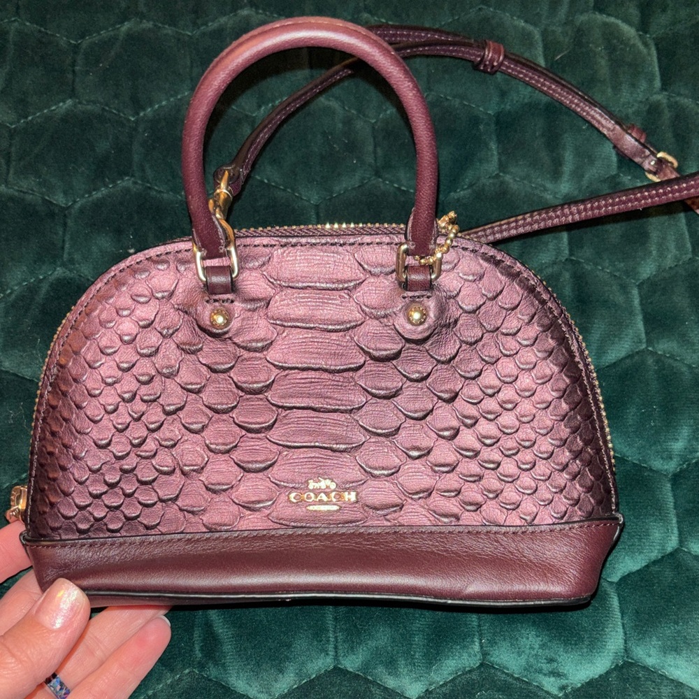 Coach Mini Sierra